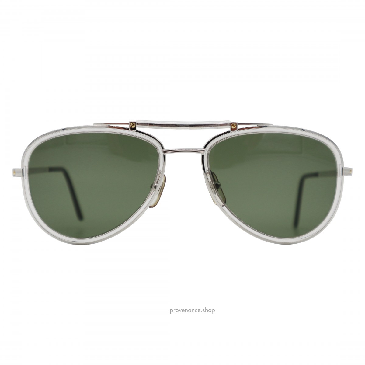 Santos de Cartier Sunglasses CT0078S - Brushed Platinum - 1
