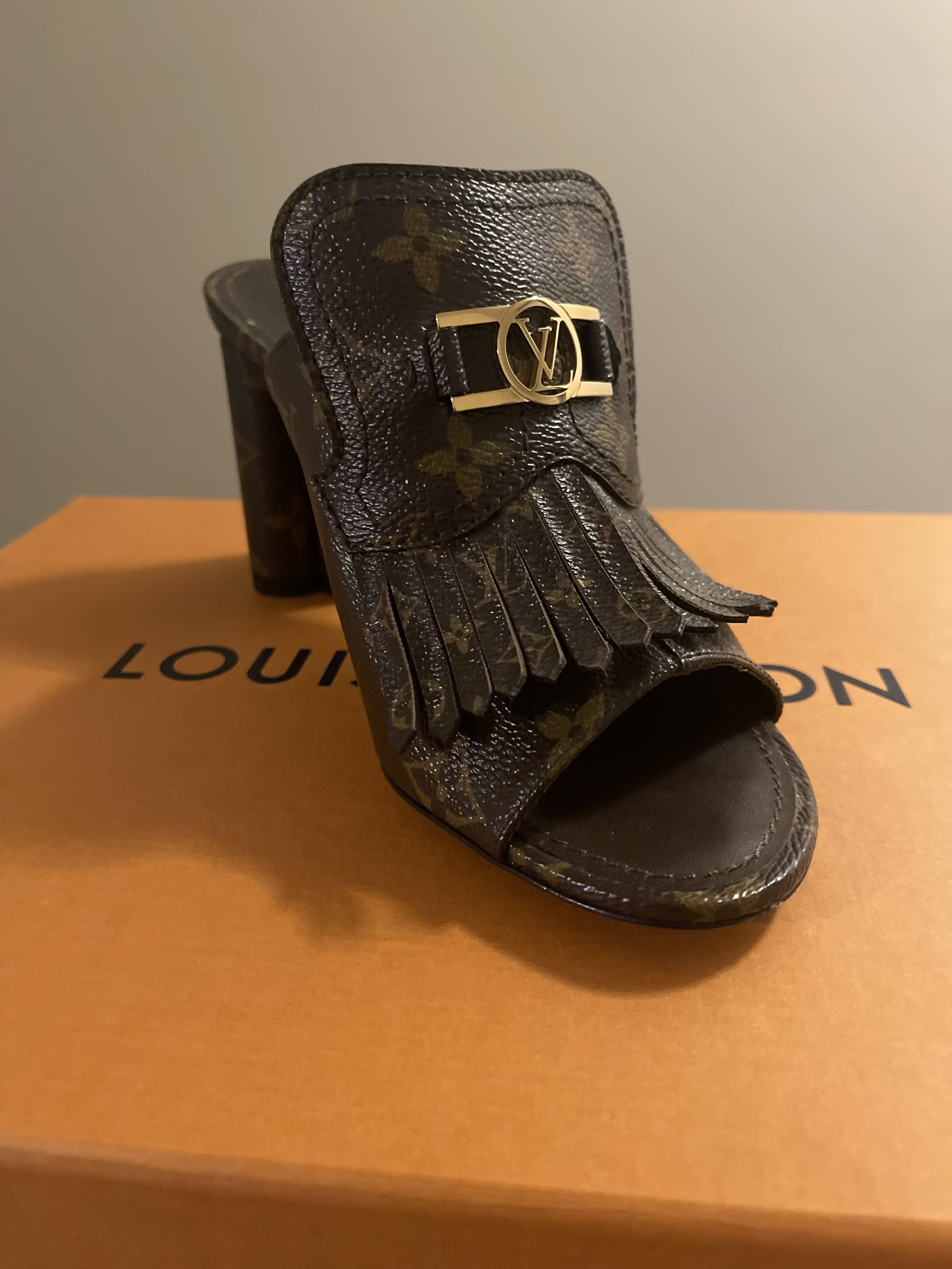 Louis Vuitton Indiana Mules - 4