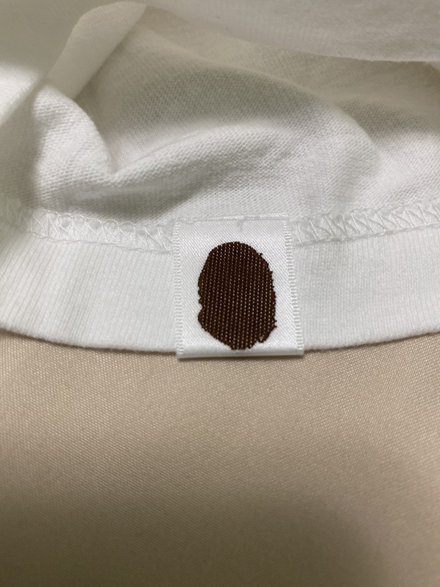 Baby Milo Shark Tee - 7