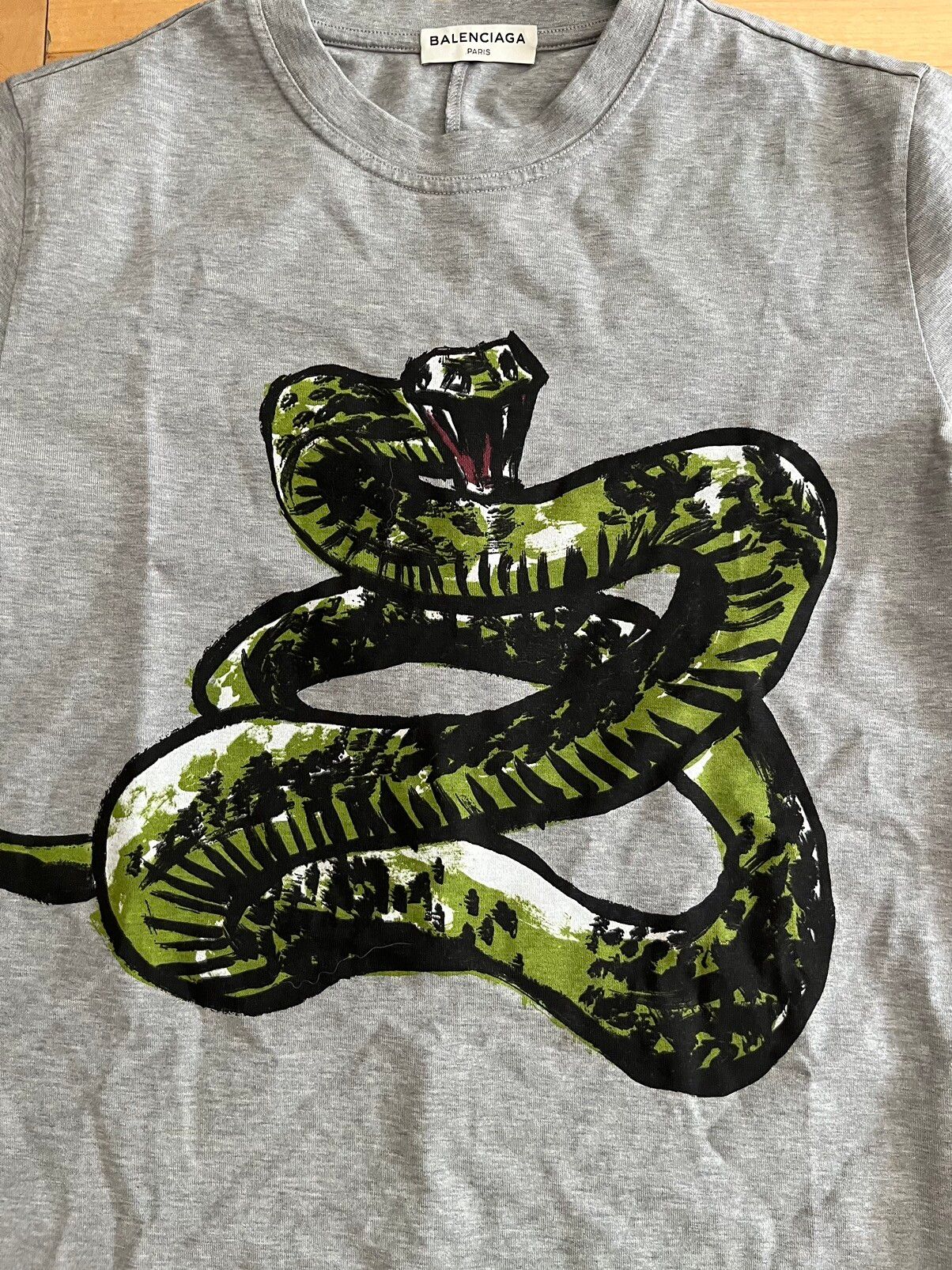 NWT - Balenciaga Oversized Snake Print T-shirt - 3