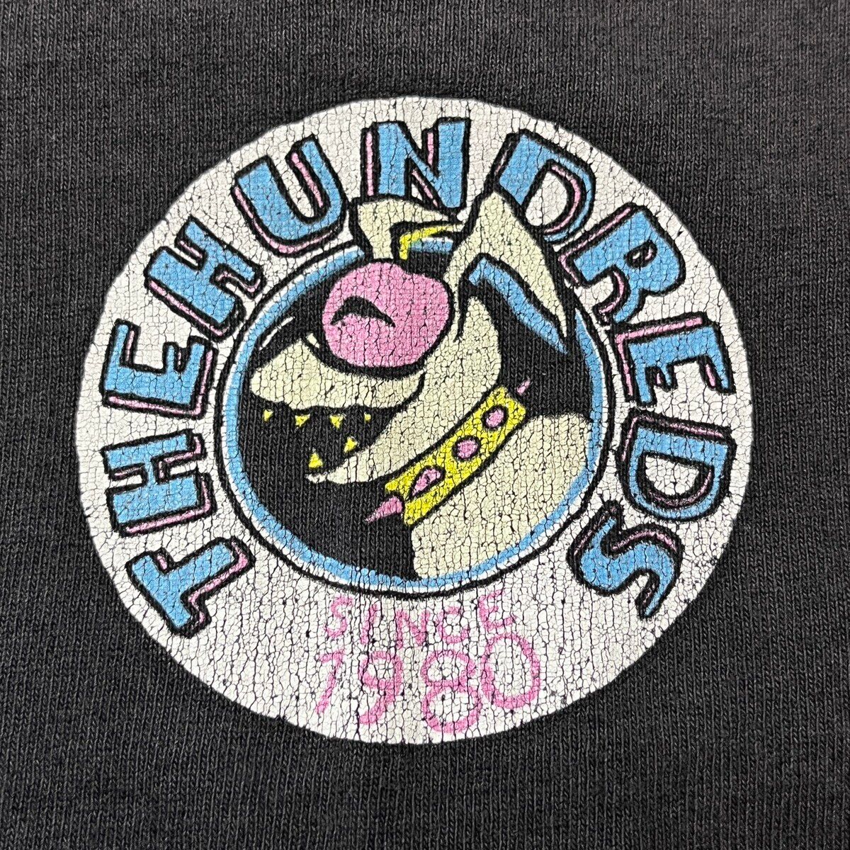 The Hundreds Vintage Y2K Faded Distressed - 8