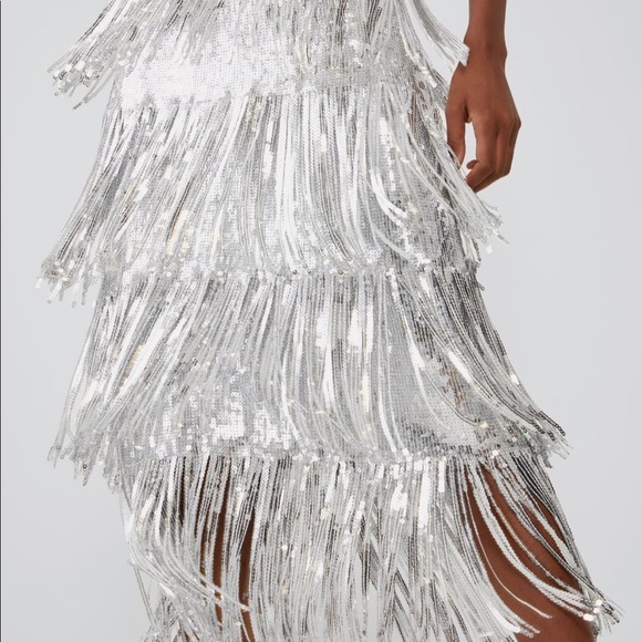 Zara Silver Limited Edition Fringe Sequin Skirt - 4