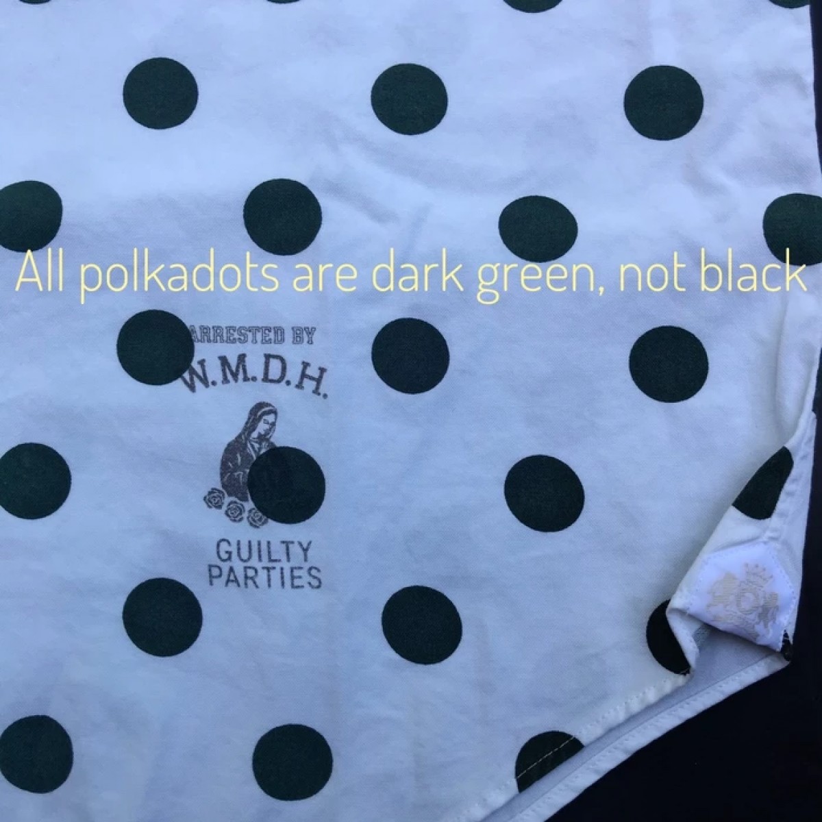 SS08 Green Polka Dots Blues Skull Button ups - 3