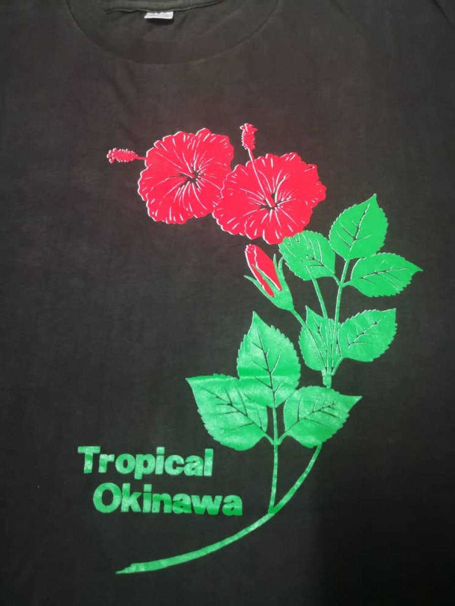 Japanese Brand - Tropical Okinawa Tee - 2