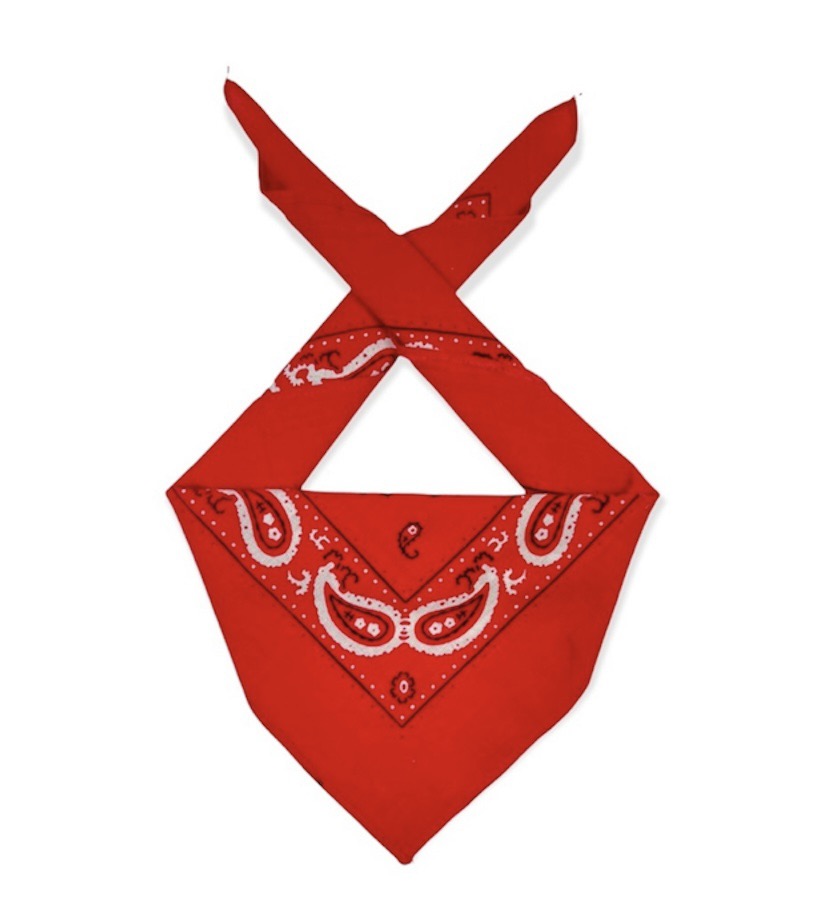 Paislee - Paislee bandana handkerchief neckerchief scarf - 1