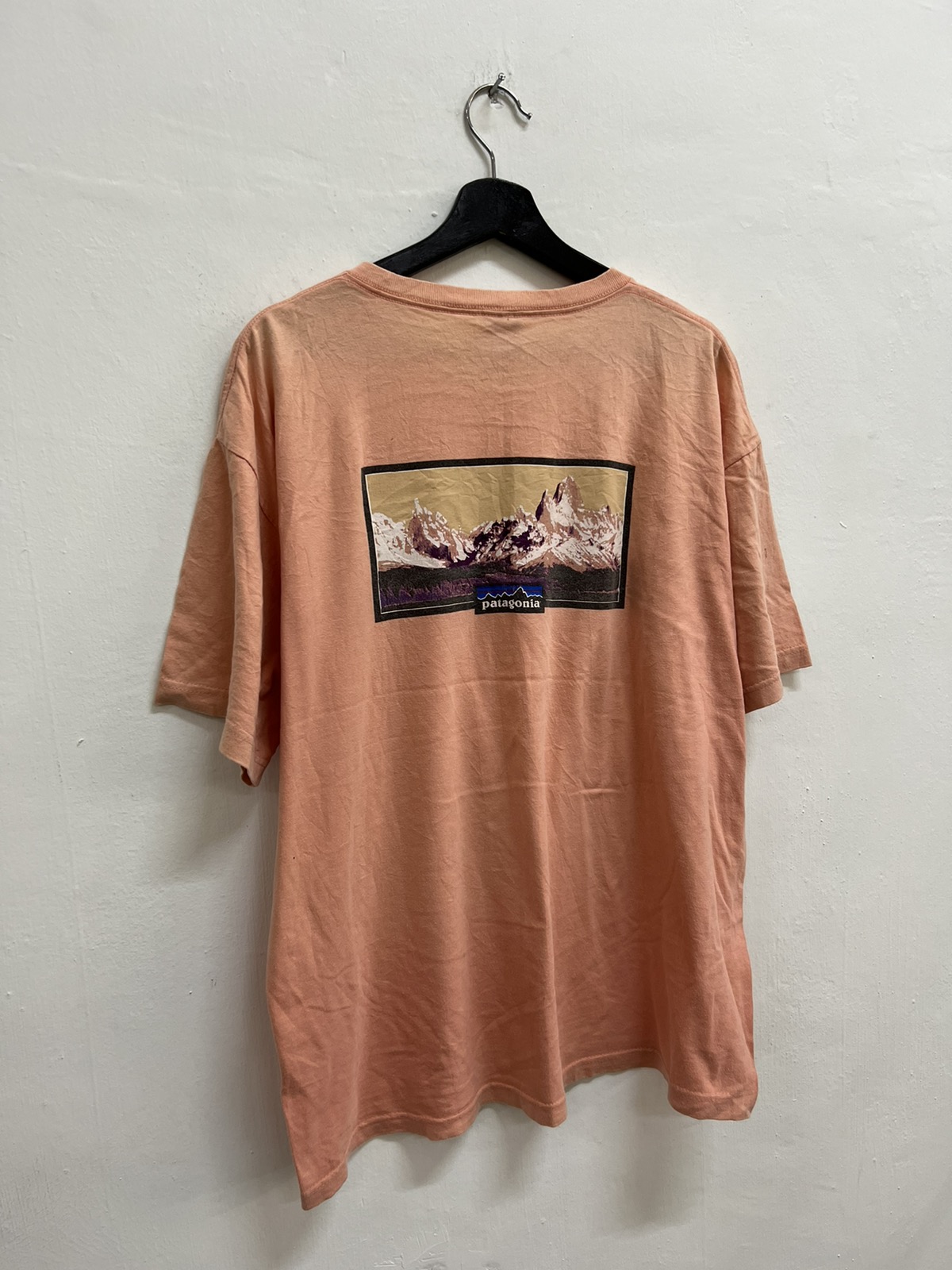 🔥STEAL🔥 Patagonia Tee Shirt - 6