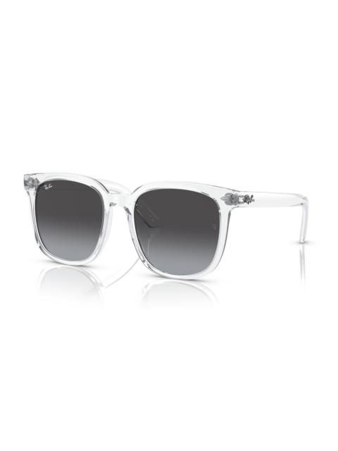 Ray-Ban RB4401D