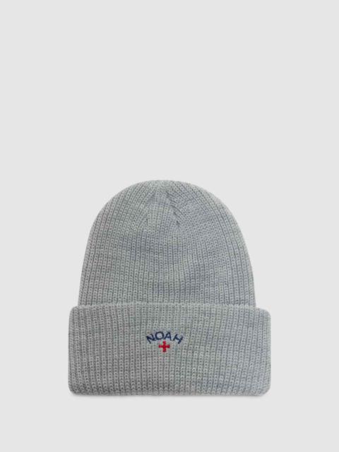 Core logo beanie