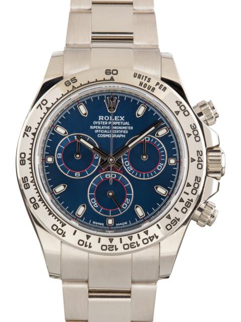 ROLEX Pre-Owned Rolex Daytona Blue Dial Ref 116509 White Gold