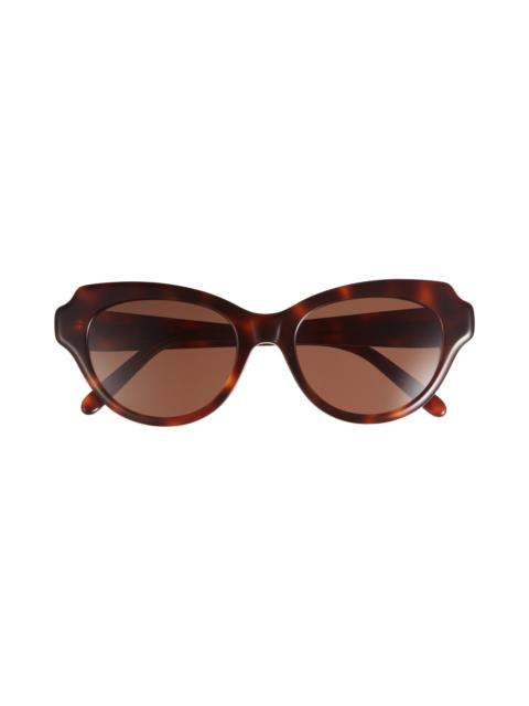 Loewe Loewe Slim 53mm Round Sunglasses in Dark Havana /Brown at Nordstrom