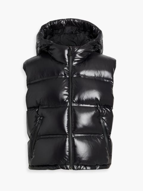 Aztech Mountain Glossed quilted down vest