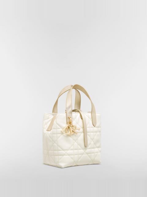 Dior Small Dior Toujours Vertical Tote Bag