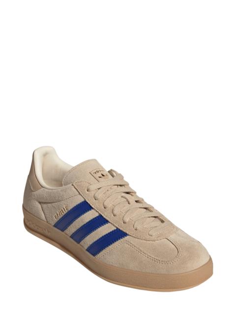 adidas adidas Gazelle Indoor Sneaker in Magbei/roy at Nordstrom