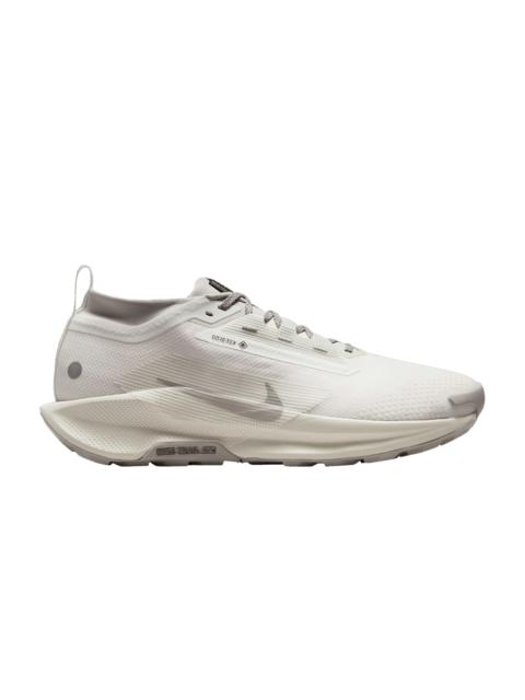 Pegasus Trail 5 GORE-TEX 'Summit White Light Bone'