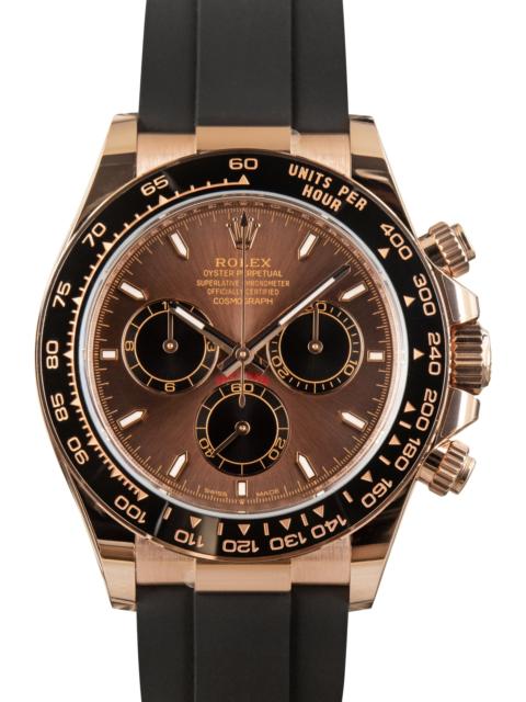 ROLEX Used Rolex Daytona Ref 126515LN Chocolate Dial