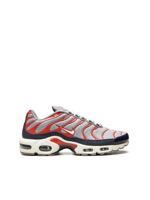 Nike Air Max Plus "USA Grey" sneakers