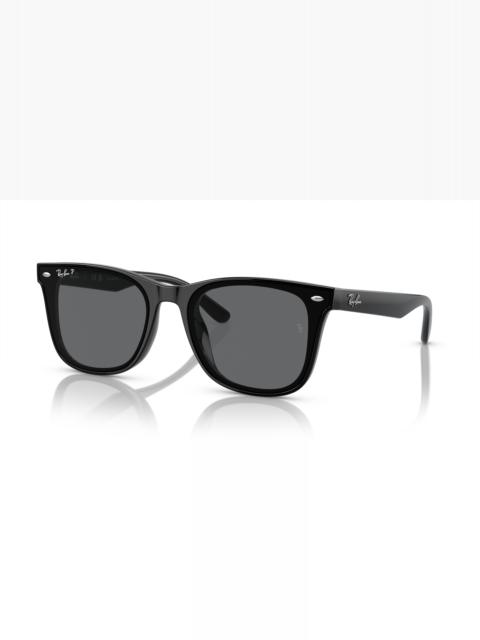 Ray-Ban RB4391D