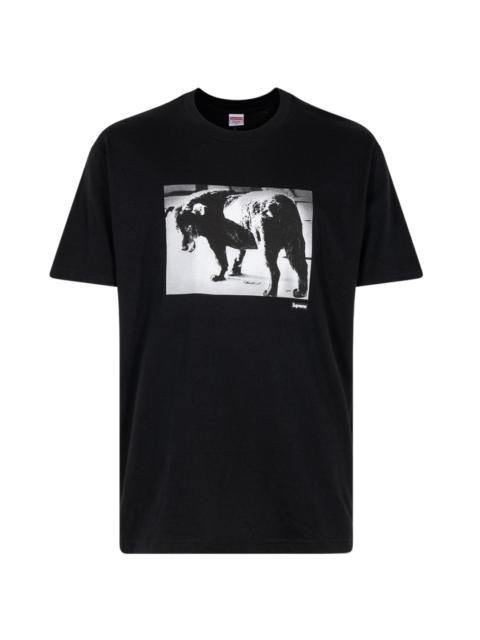 Supreme Daido Moriyama Dog Tee