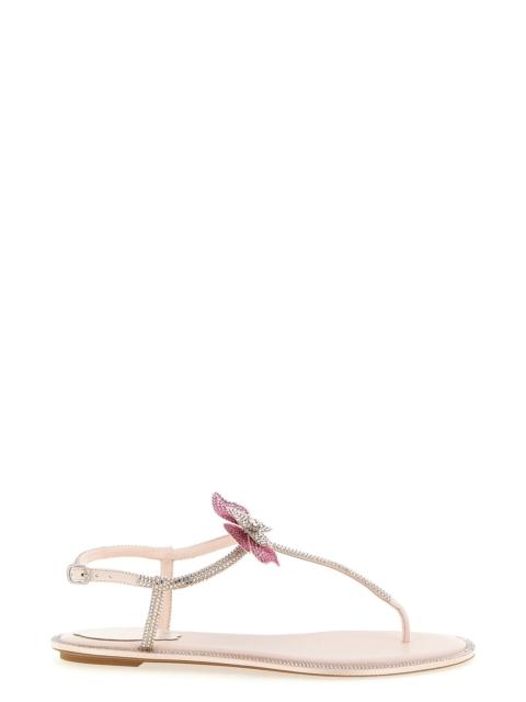 RENE CAOVILLA 'Fairy' sandals