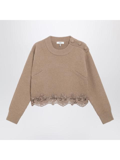 Chloé Chloe Cropped Turtleneck Sweater In Wool-Cashmere Bleached Brown Women