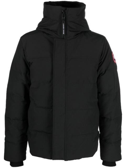 Canada Goose Canada Goose Men Macmillan Down Jacket