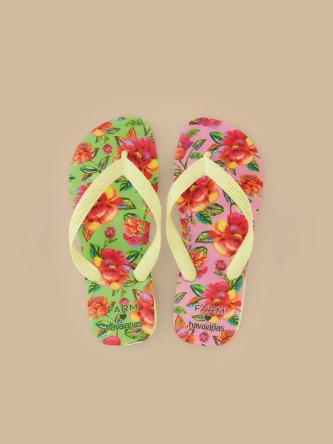 FARM RIO Neon Flowers Havaianas