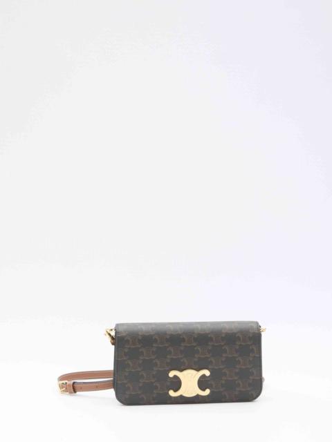 CELINE Celine Women Pouch In Triomphe Canvas