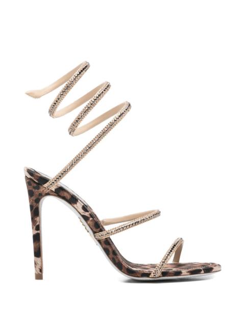 RENE CAOVILLA René Caovilla Women Sandals