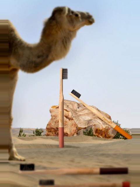 Collina Strada 5-pack Bamboo Toothbrush | MamaP