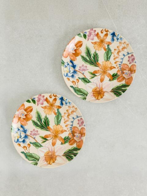FARM RIO Floral Nature Dinner Plates Set of 2