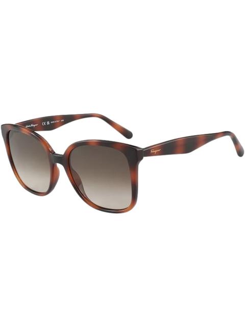 FERRAGAMO Ferragamo Brown Gradient Square Ladies Sunglasses SF1072S 240 56