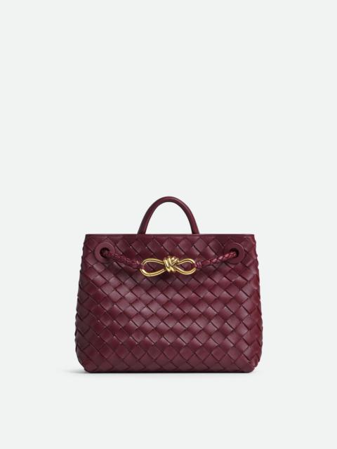 Bottega Veneta Small Andiamo