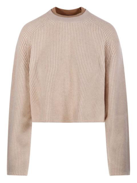 Max Mara Max Mara Women Crew Neck Sweater In Cashmere Wool