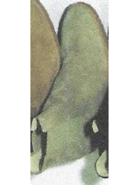 Common Projects Common Projects Men Chelsea Boot Suede