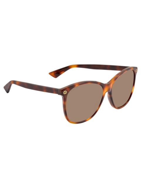 GUCCI Gucci GG0024 Brown Oval Ladies Sunglasses GG0024S 002 58