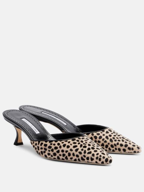 Manolo Blahnik Carolyne 50 leopard-print calf hair mules