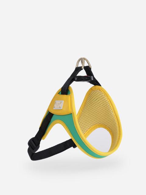 Dolce & Gabbana Dog harness
