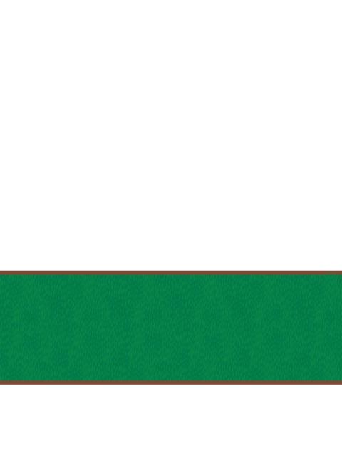 Longchamp Chevaux Stole Green - OTHER