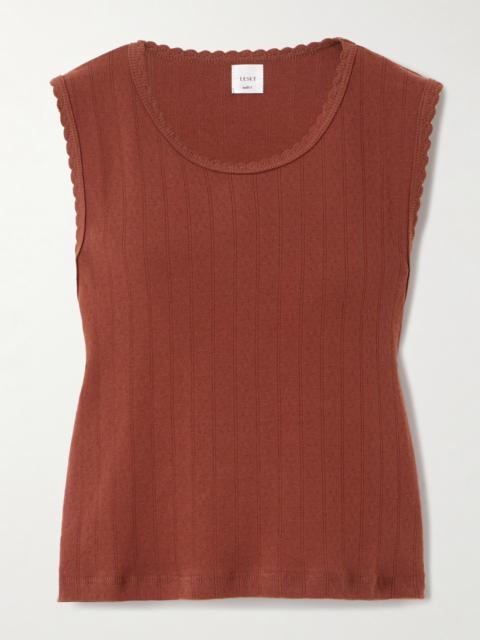 LESET Scalloped Pointelle-knit Cotton Tank