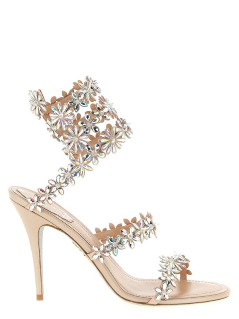 RENE CAOVILLA René Caovilla Women 'Eva' Sandals