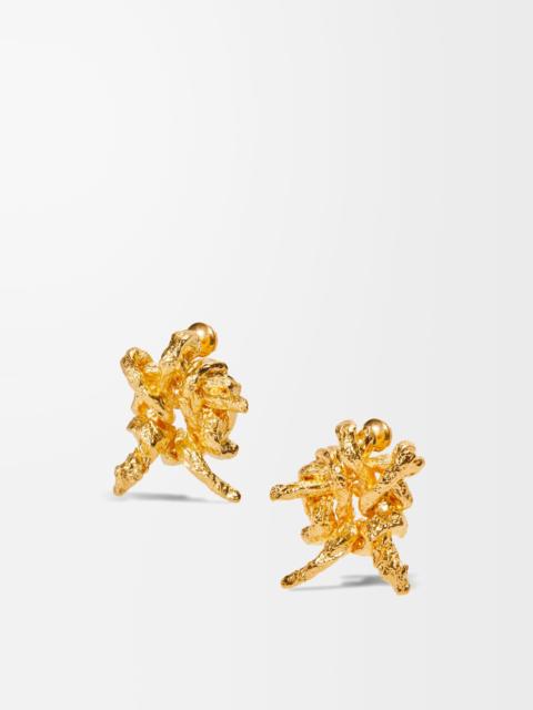 Loewe Tarantella earrings in sterling silver