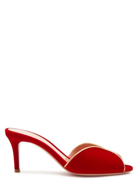 Gianvito Rossi Gianvito Rossi Metallic-trim Velvet Mules
