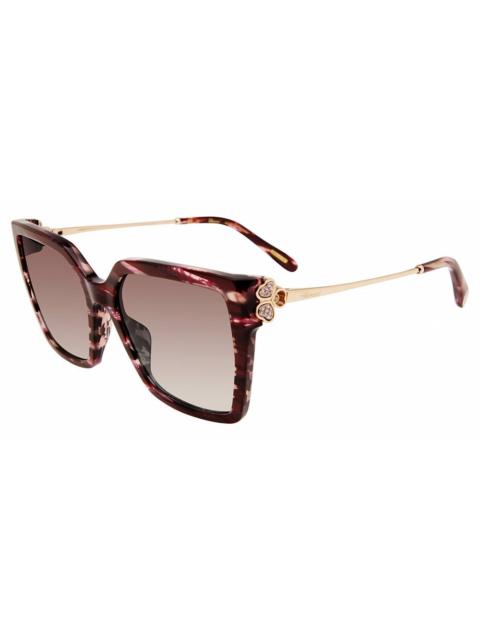 Chopard Chopard Brown Gradient Square Ladies Sunglasses SCH371S 01G2 56