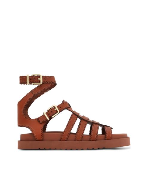 Zimmermann GOLDIE GLADIATOR