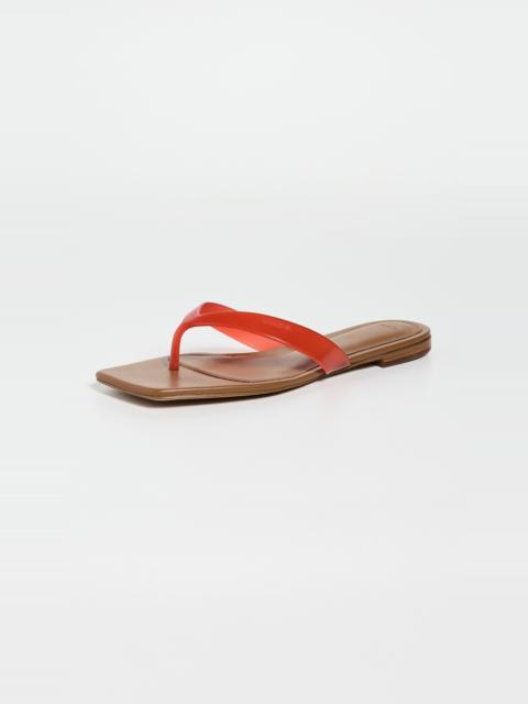 Vince San Juan Thong Sandals