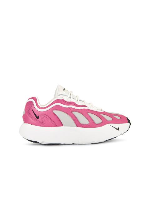 x Nike Sense 96 Sp