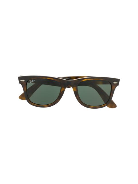 Wayfarer tortoiseshell sunglasses