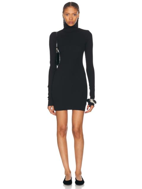 ÉTERNE Long Sleeve Turtleneck Mini Dress