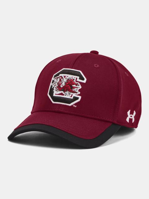 Under Armour Men's UA Blitzing Collegiate Stretch Fit Hat