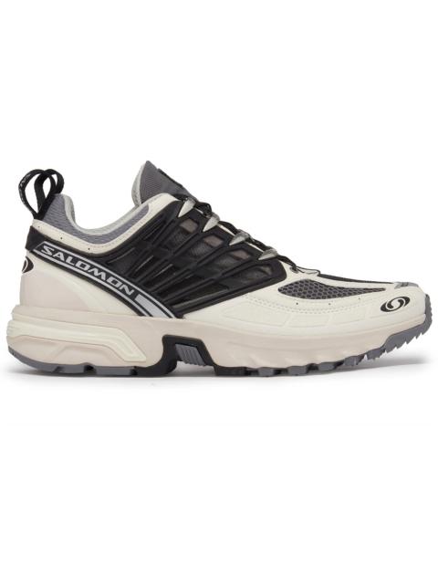 SALOMON Salomon ACS Pro DSM Lunar Rock